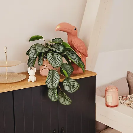 Appartamento Elegantes Loft Mit 2 Etagen Im Koenigsviertel *