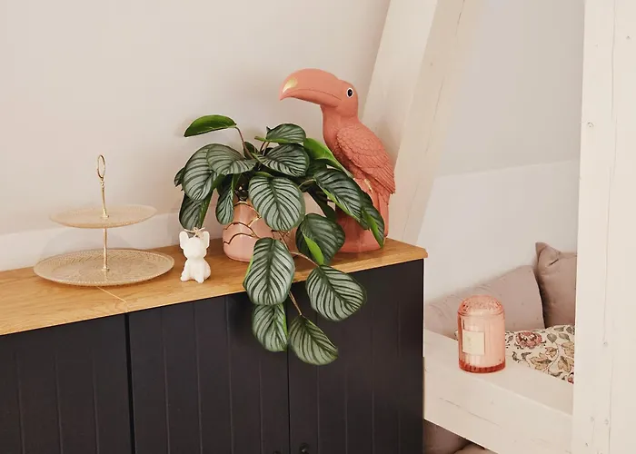 Lägenhet Elegantes Loft Mit 2 Etagen Im Koenigsviertel *