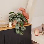 Apartment Elegantes Loft Mit 2 Etagen Im Königsviertel *